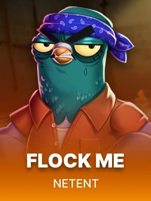 Flock Me screenshot